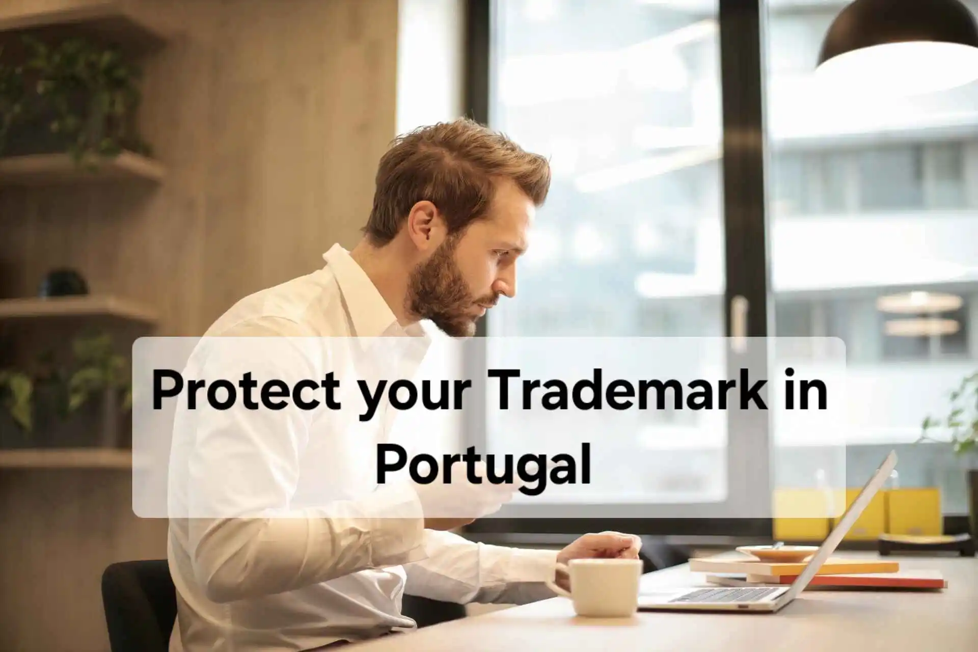 Register-trademark-in-portugal-nappot-com.webp