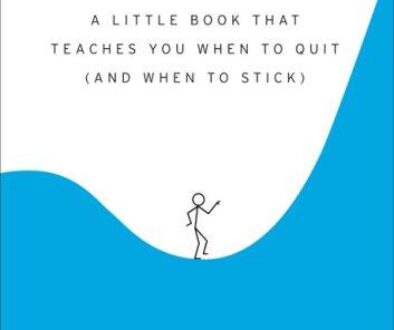 The Dip: A Little Book That Teaches You When to Quit (and When to Stick) by Seth Godin, matched 2007 edition cover