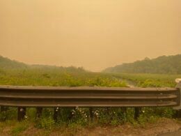 A road in New Jersey under hazy wildfire smoke