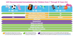 CDC chart showing the age range for adolescent immunization planning.