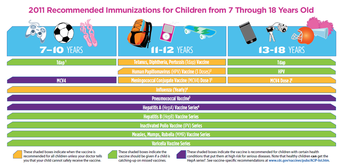 CDC chart showing the age range for adolescent immunization planning.